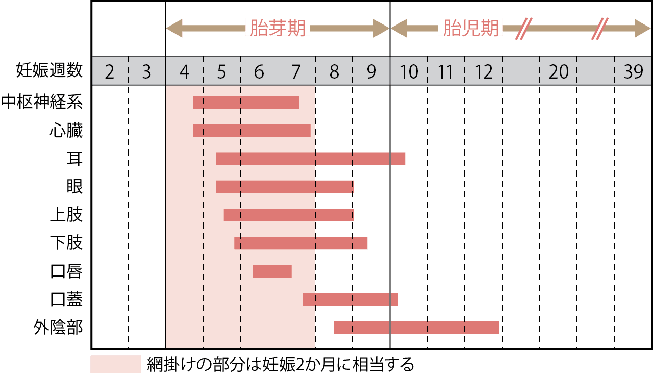 妊娠 授乳とくすり くすり知恵袋 くすりの適正使用協議会